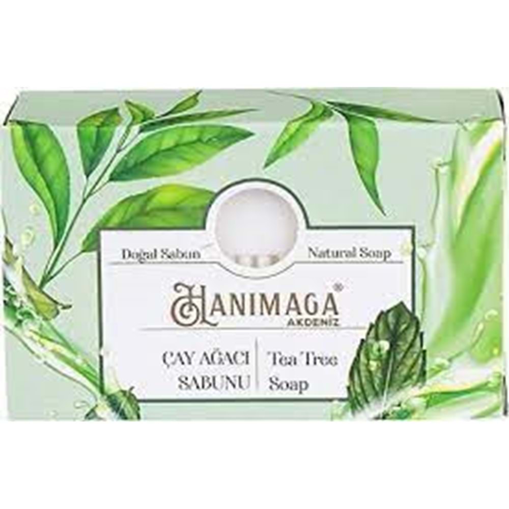 HANIMAĞA SABUN ÇAY AĞACI