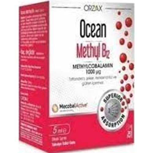 OCEAN METHYL B12 1000MG 5 ML SPREY