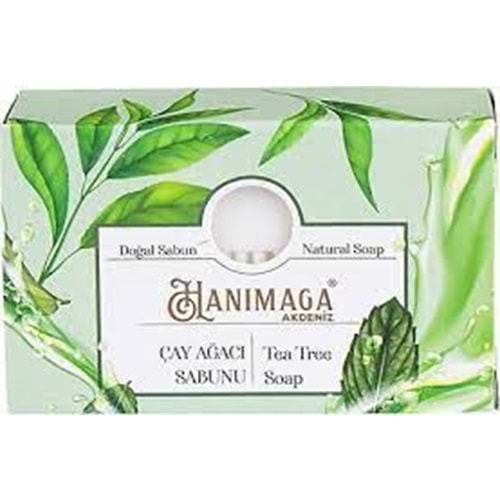 HANIMAĞA SABUN ÇAY AĞACI