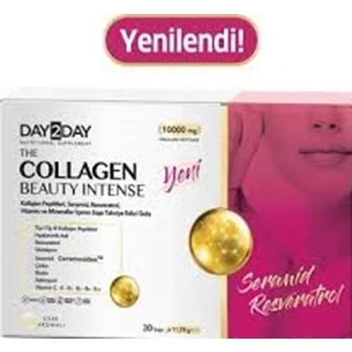 DAY2DAY 6091 BEA.INT.ÇİLEK 30 SAŞE 12GR